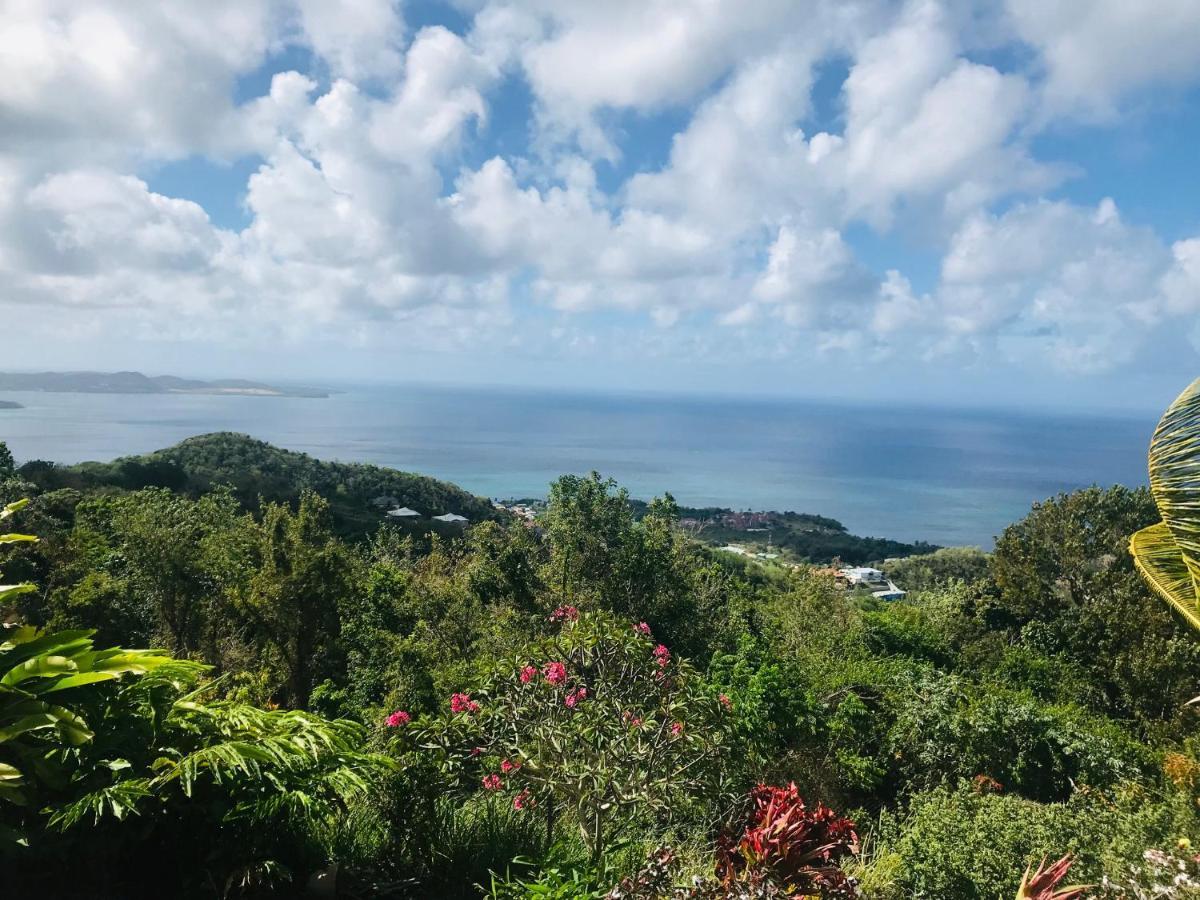 Appartement Prive Eco-Responsable, Vue Sur La Mer Des Caraibes Et Jardin Clos, Wifi, A 2Mn De La Plage Sainte-Luce Buitenkant foto
