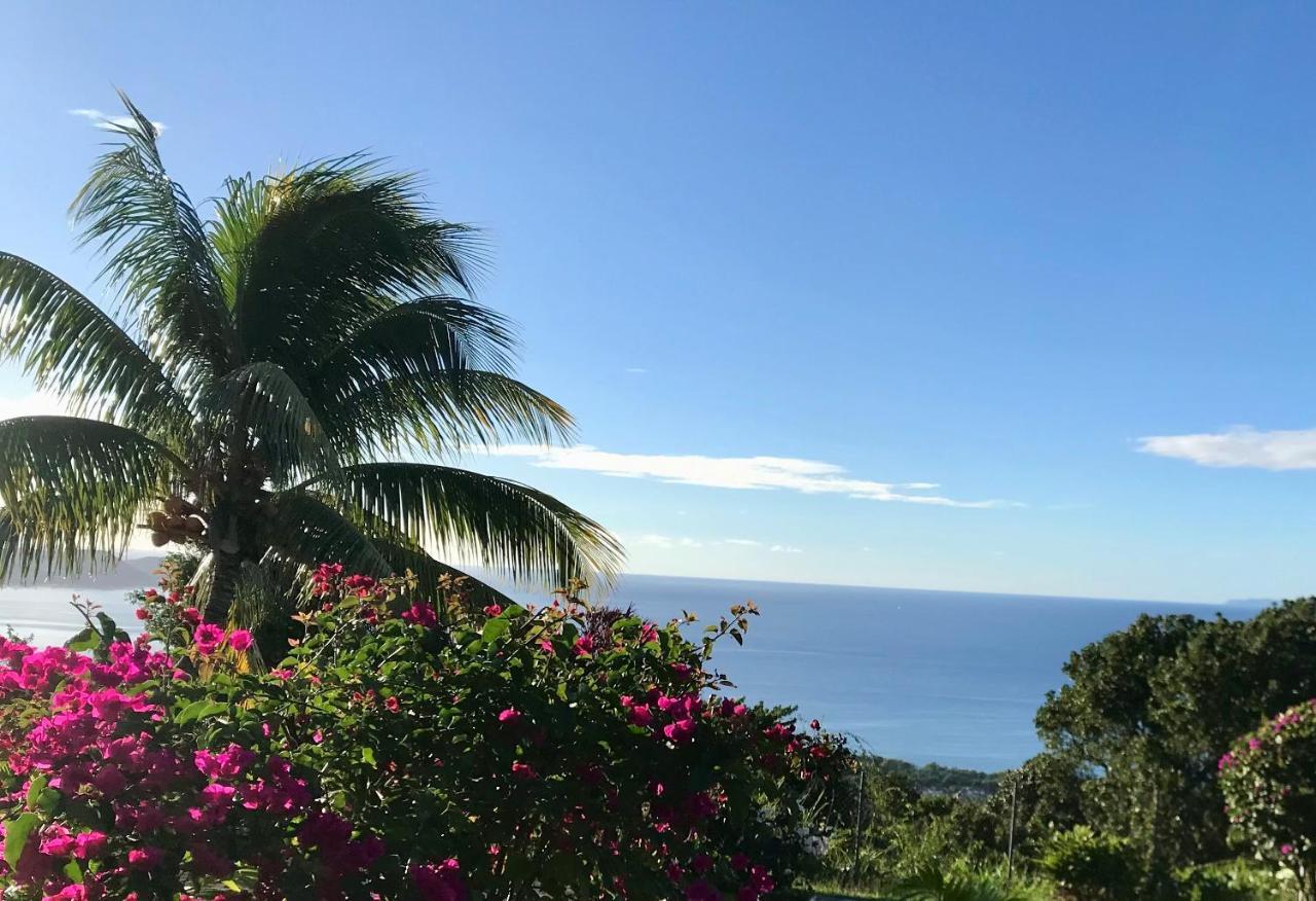 Appartement Prive Eco-Responsable, Vue Sur La Mer Des Caraibes Et Jardin Clos, Wifi, A 2Mn De La Plage Sainte-Luce Buitenkant foto